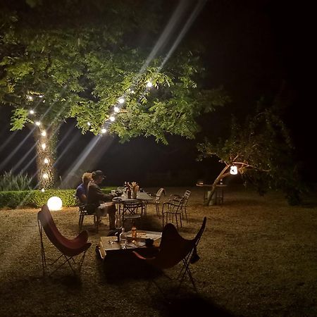 Domaine De La Celarie Mouzieys-Teulet Экстерьер фото